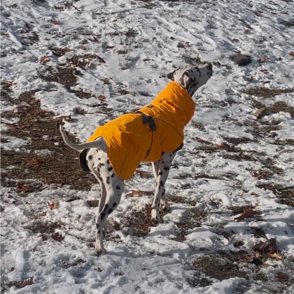 Hurtta Expedition Parka